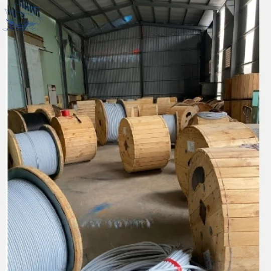 Cáp điện bọc giáp tàu thủy